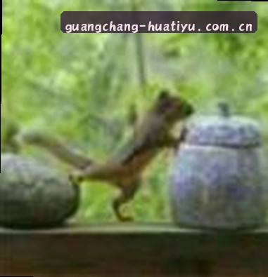王董
